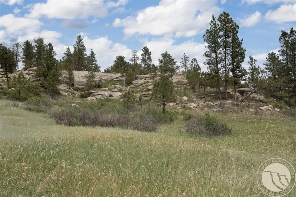 21 Big Buck Trail Roundup MT 59072