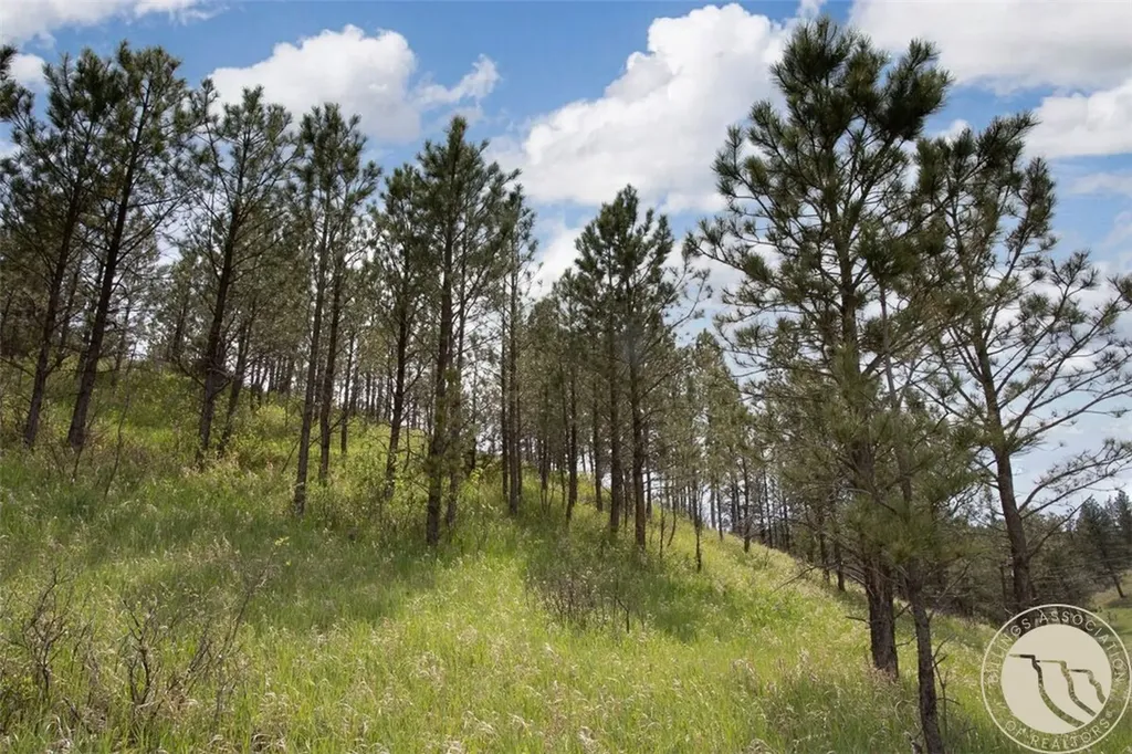 21 Big Buck Trail Roundup MT 59072