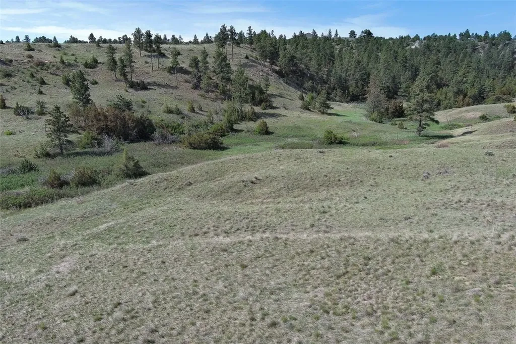 Tba Buffalo Trail Road Molt MT 59057