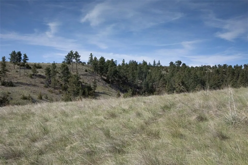 Tba Buffalo Trail Road Molt MT 59057