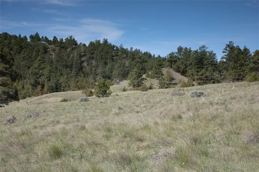 Tba Buffalo Trail Road Molt MT 59057
