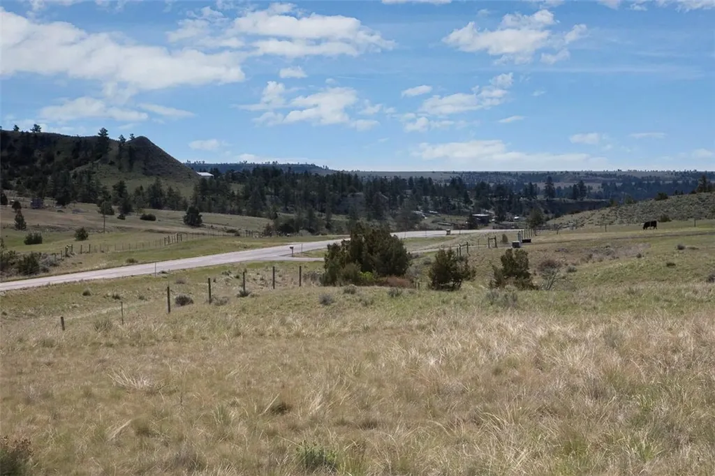 Tba Buffalo Trail Road Molt MT 59057