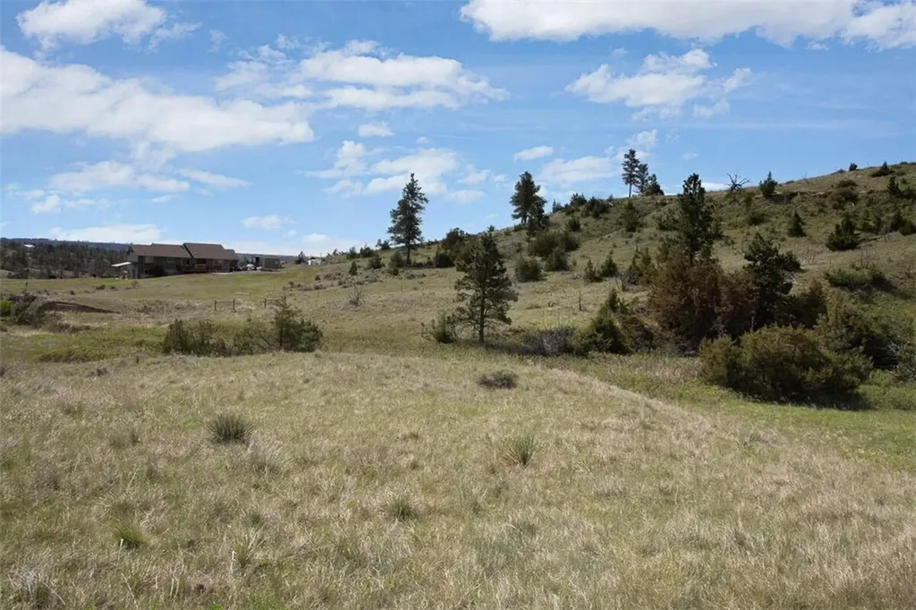 Tba Buffalo Trail Road Molt MT 59057