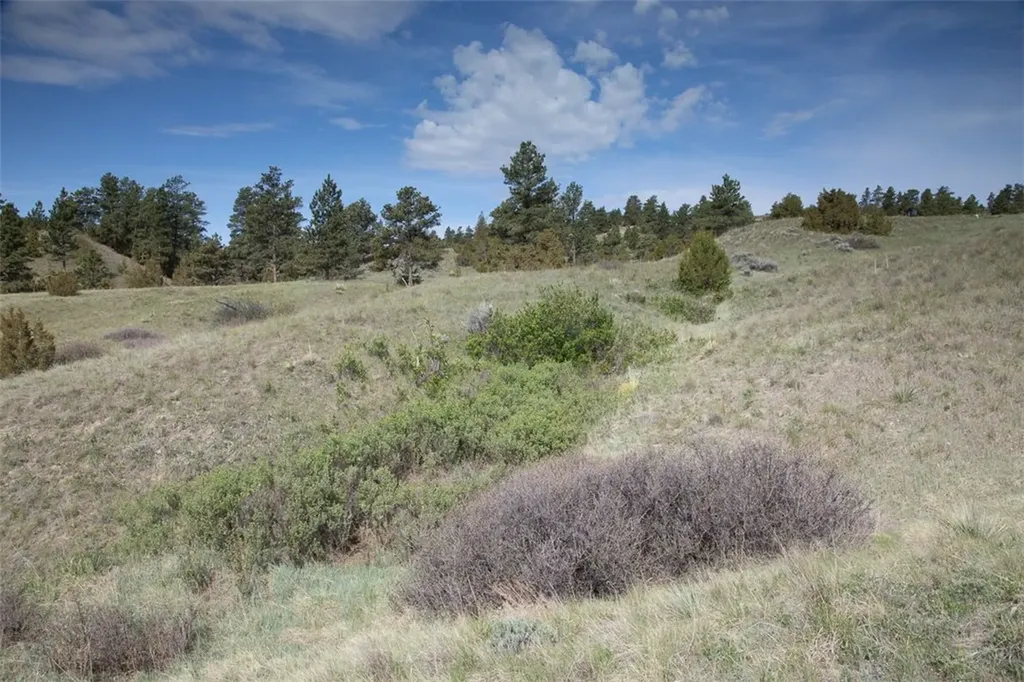 Tba Buffalo Trail Road Molt MT 59057