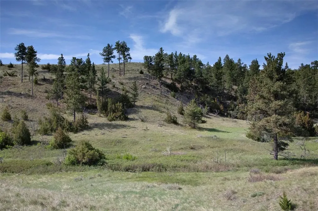 Tba Buffalo Trail Road Molt MT 59057