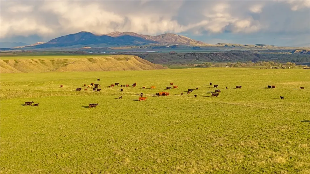 204 Husted Road Lewistown MT 59457