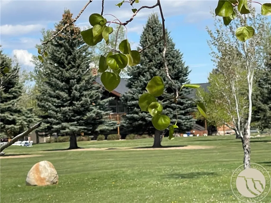 1415 Silver Circle Red Lodge MT 59068