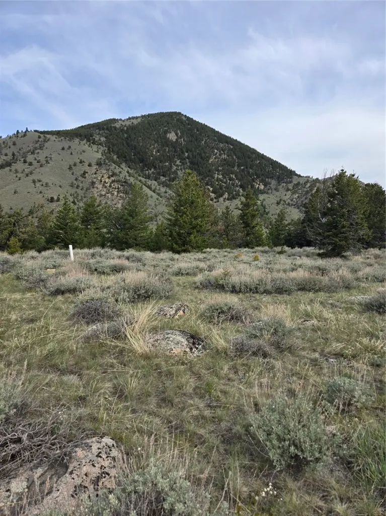 24 Bear Dance Trail Red Lodge MT 59068