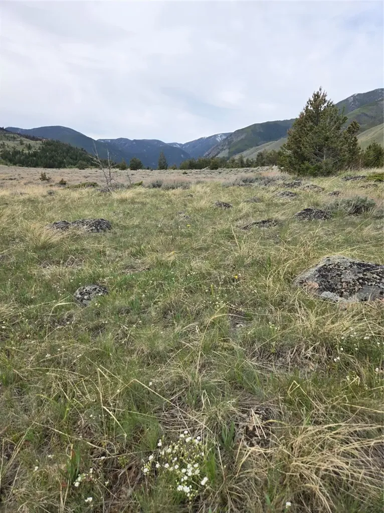 24 Bear Dance Trail Red Lodge MT 59068