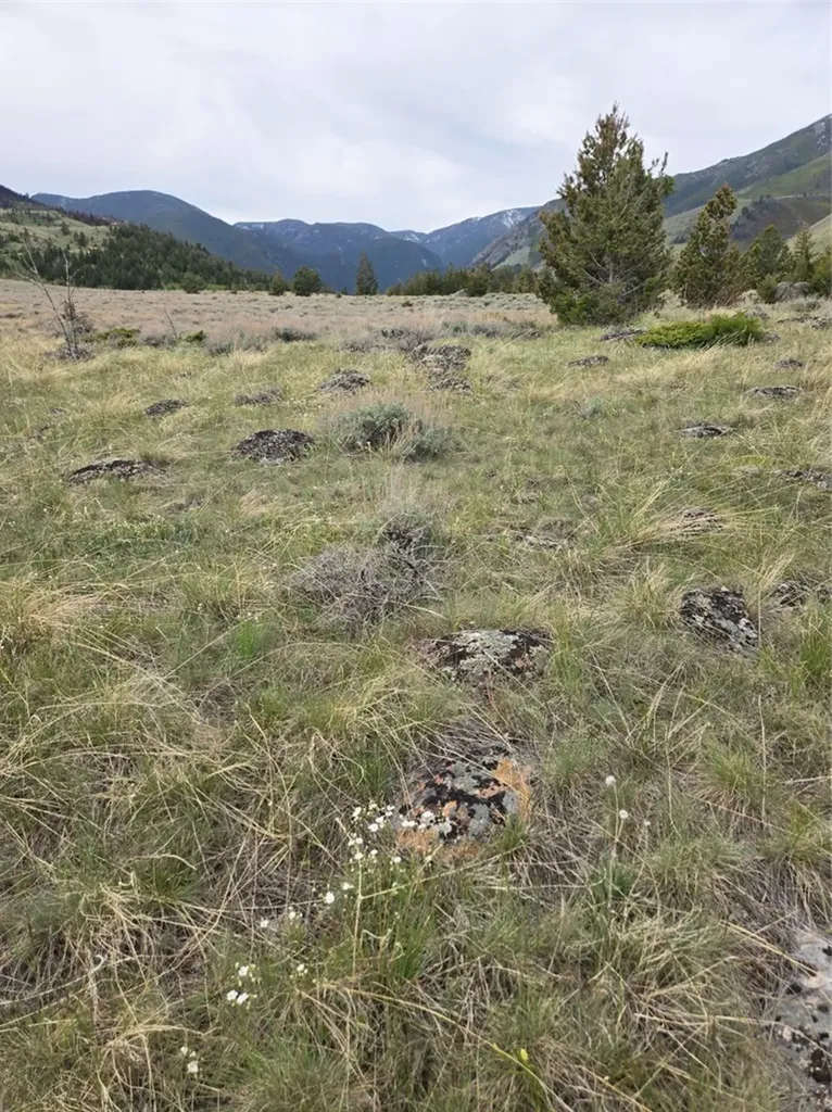 24 Bear Dance Trail Red Lodge MT 59068