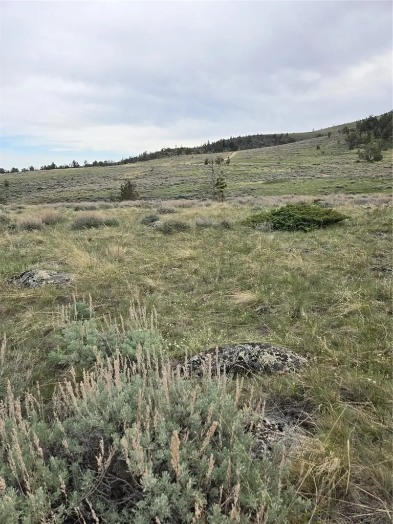 24 Bear Dance Trail Red Lodge MT 59068