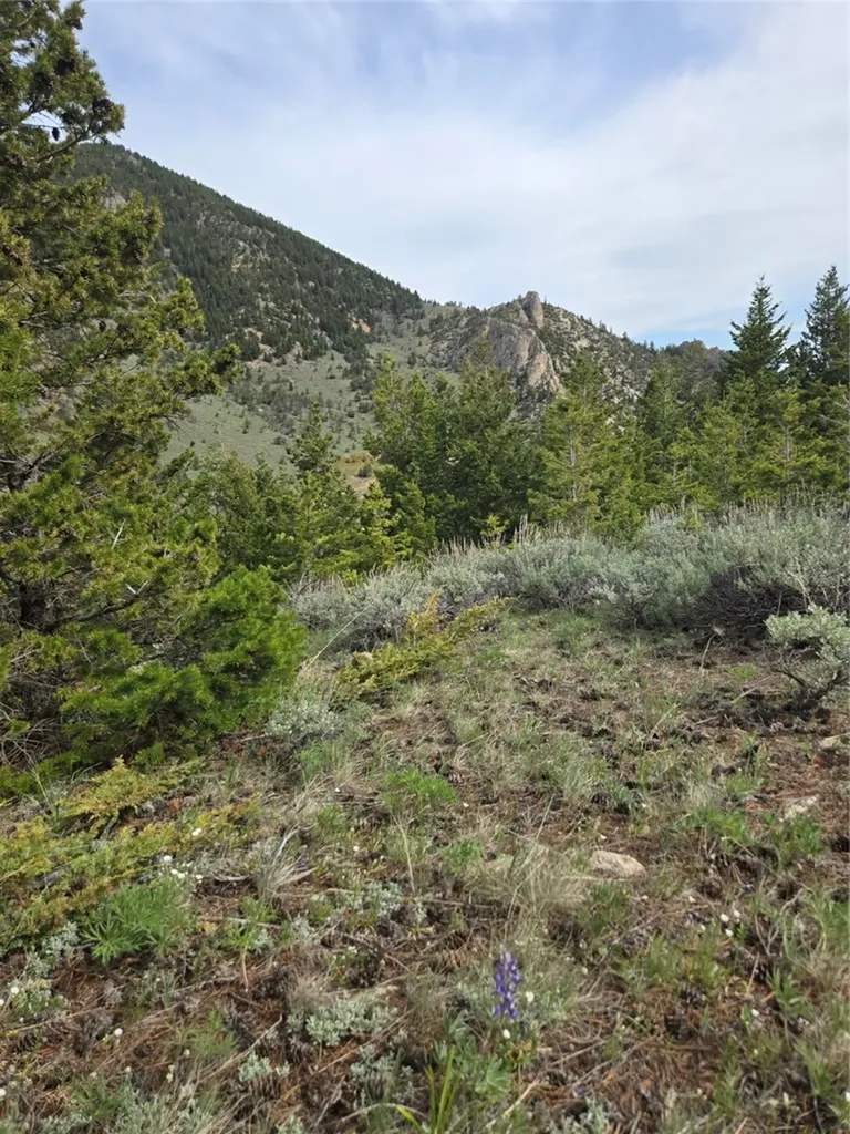 24 Bear Dance Trail Red Lodge MT 59068