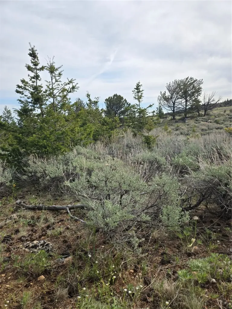 24 Bear Dance Trail Red Lodge MT 59068
