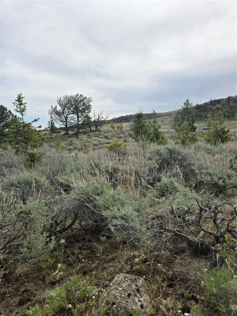 24 Bear Dance Trail Red Lodge MT 59068