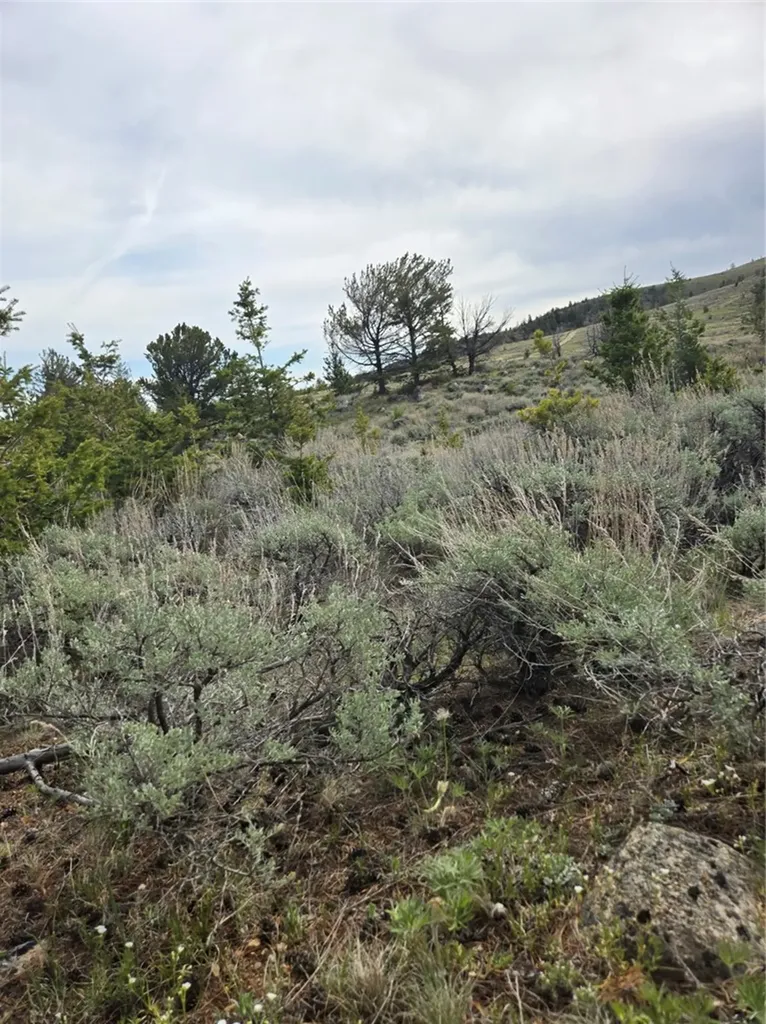 24 Bear Dance Trail Red Lodge MT 59068
