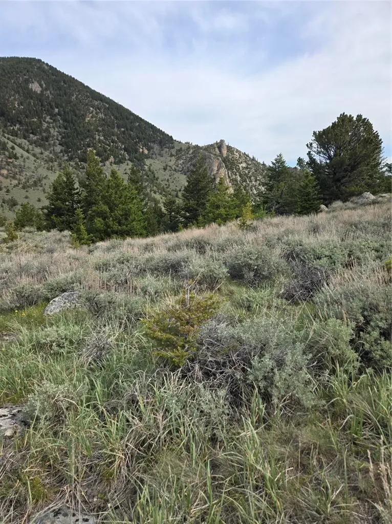 24 Bear Dance Trail Red Lodge MT 59068