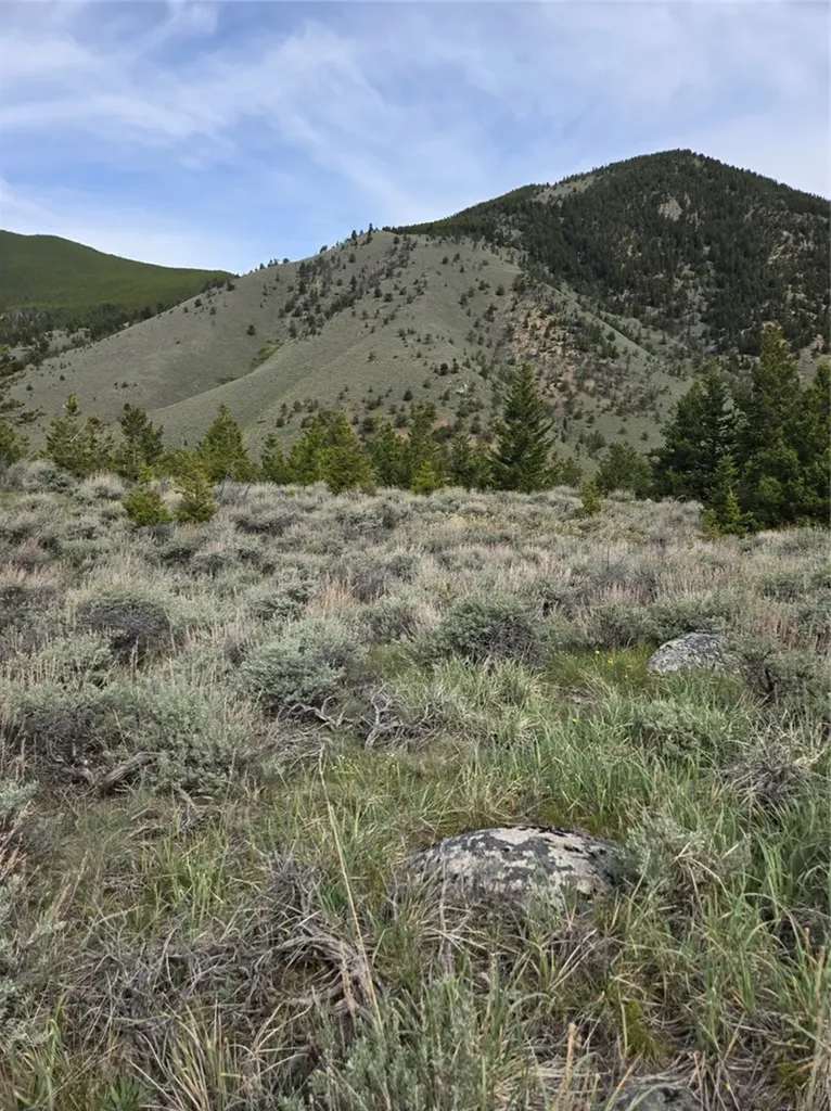 24 Bear Dance Trail Red Lodge MT 59068