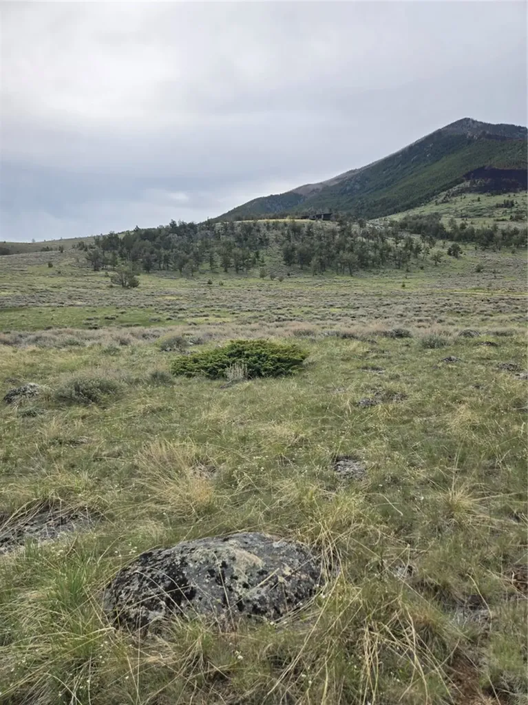 24 Bear Dance Trail Red Lodge MT 59068