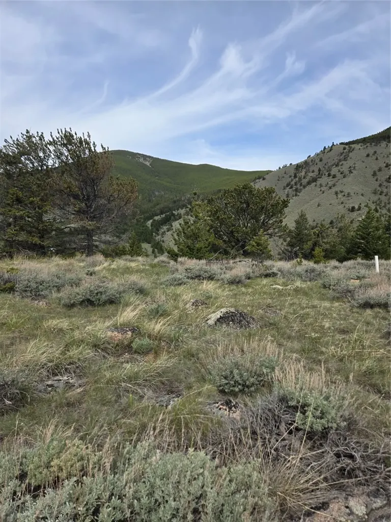 24 Bear Dance Trail Red Lodge MT 59068