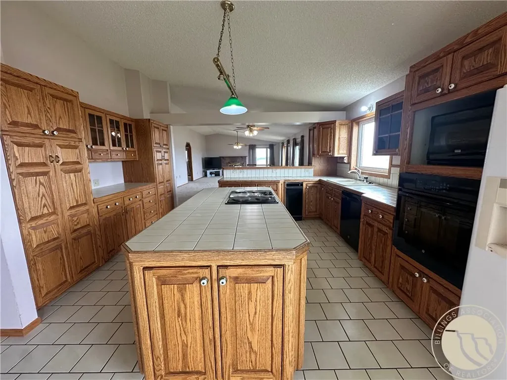 1540 Thrill Hills Road Other MT 59489