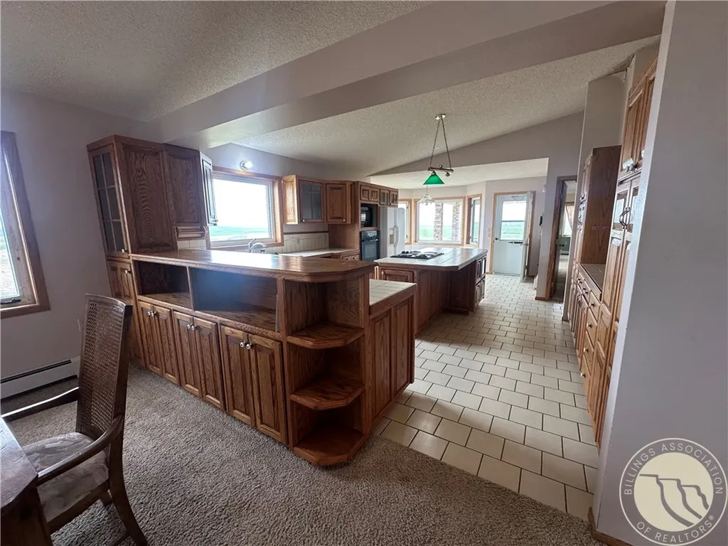 1540 Thrill Hills Road Other MT 59489