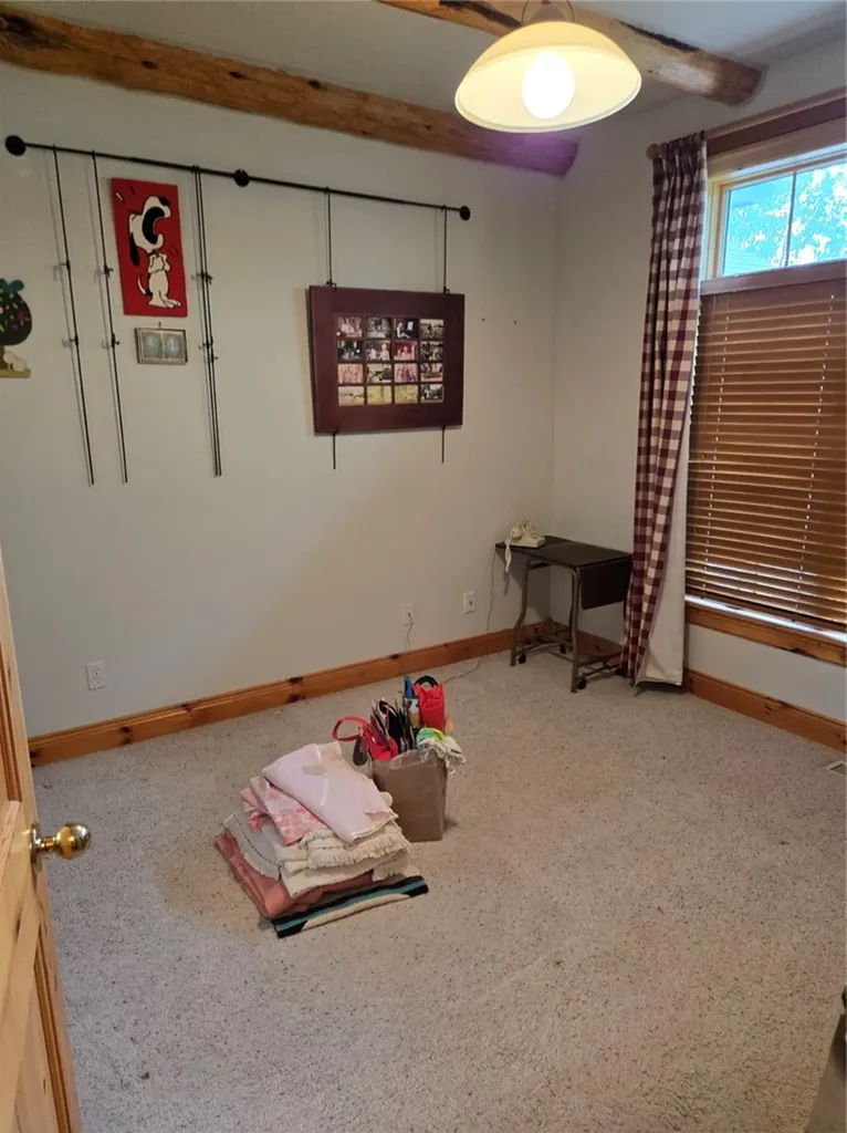 421 Bobcat Circle Red Lodge MT 59068