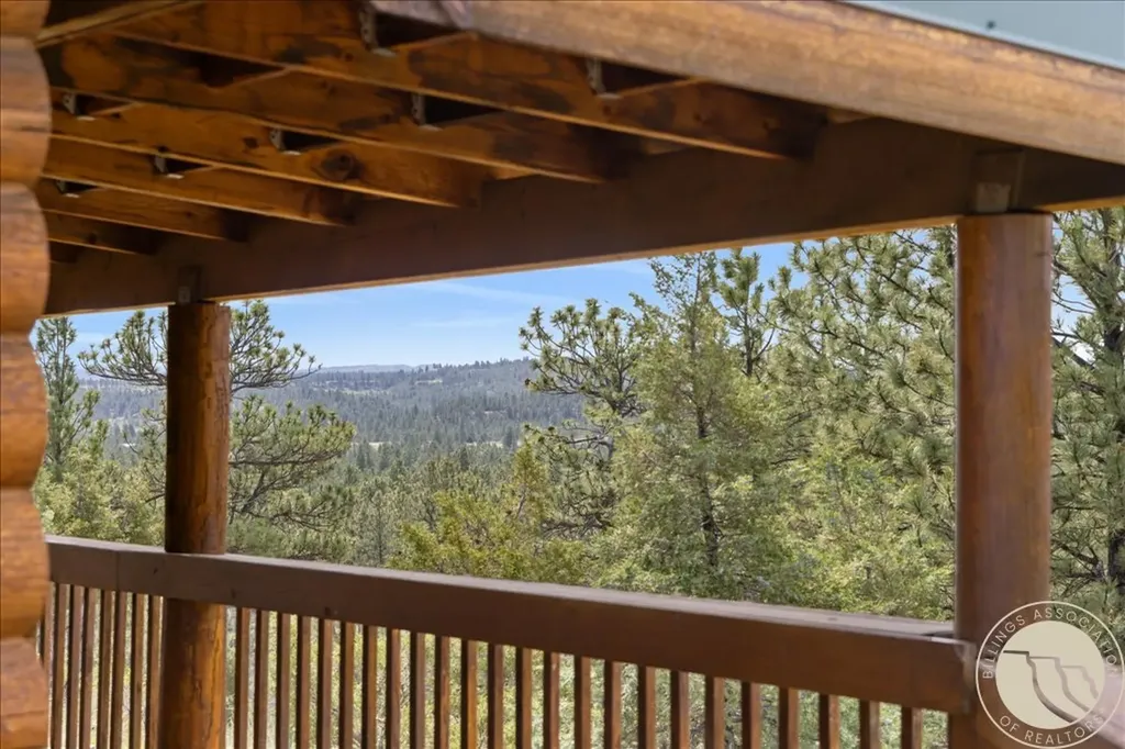 25 Denali Cabin Lane Roundup MT 59072