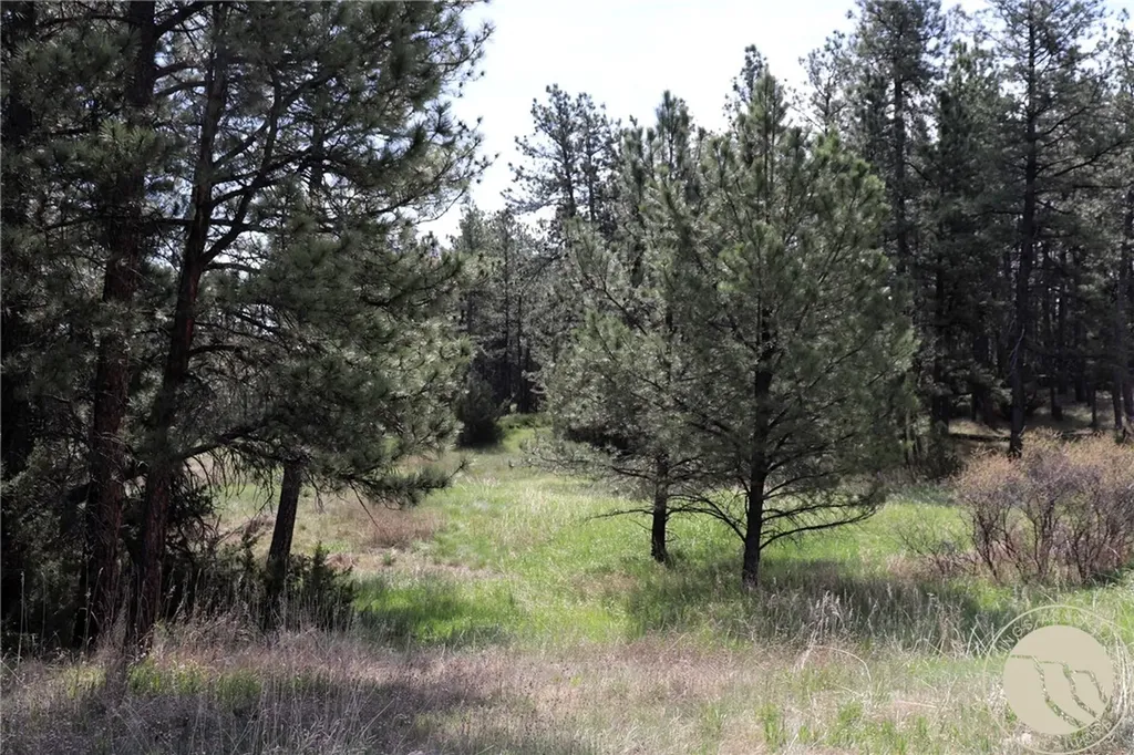 14 Mccord Road Roundup MT 59072