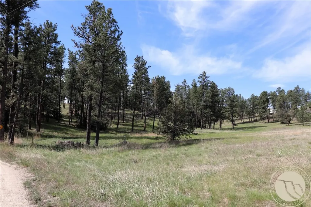 14 Mccord Road Roundup MT 59072