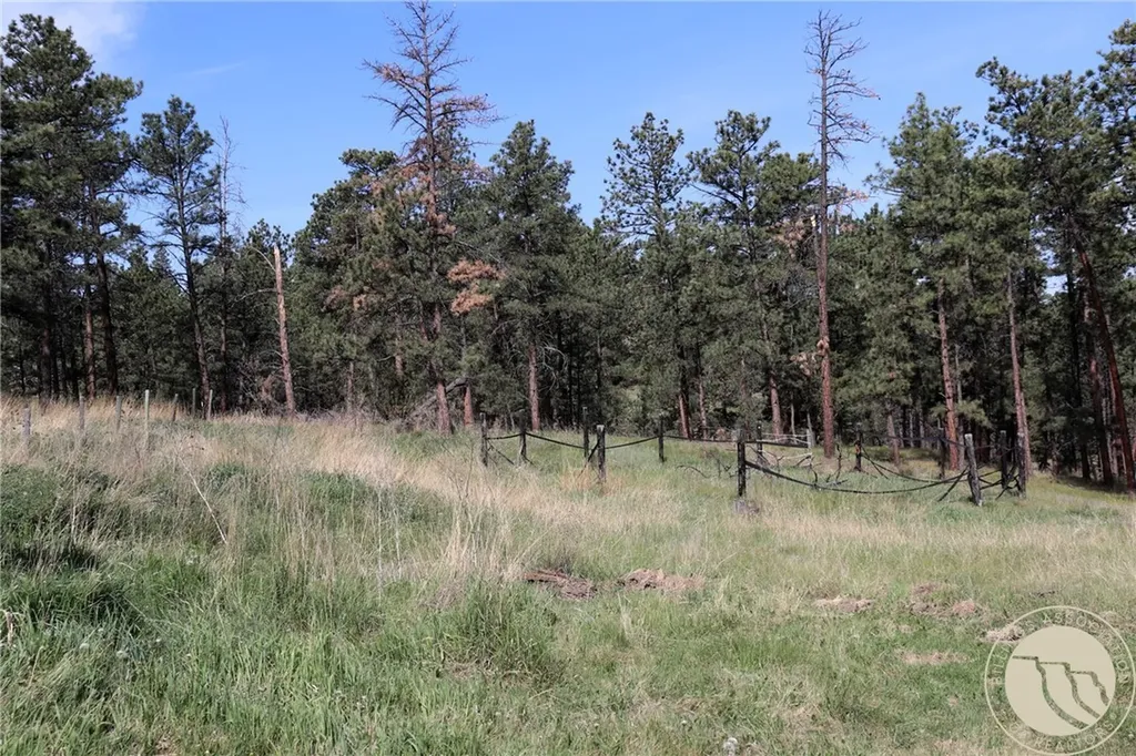 14 Mccord Road Roundup MT 59072