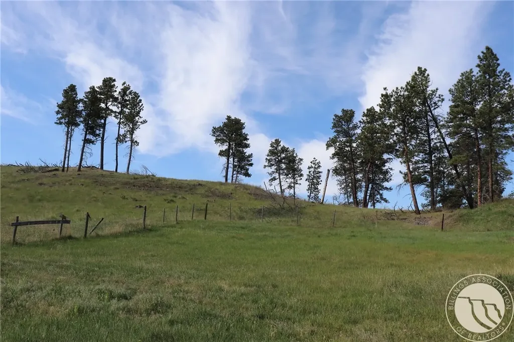 14 Mccord Road Roundup MT 59072
