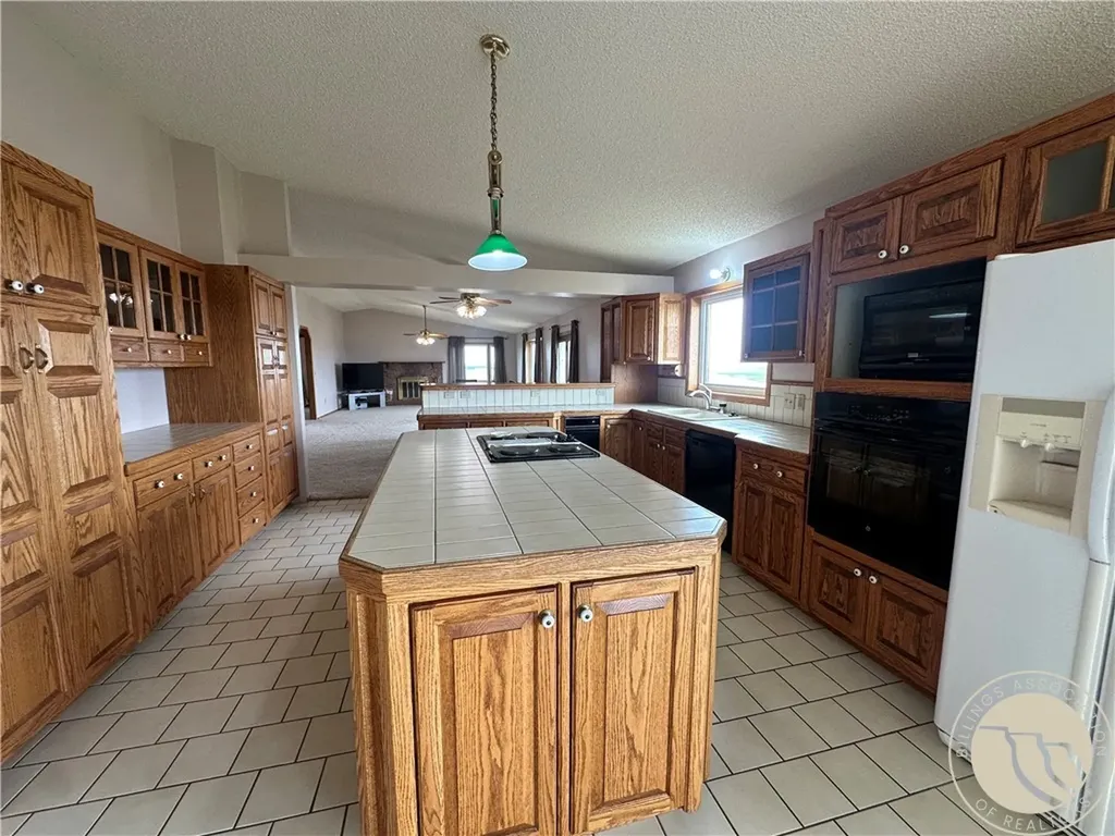 1540 Thrill Hills Road Other MT 59489
