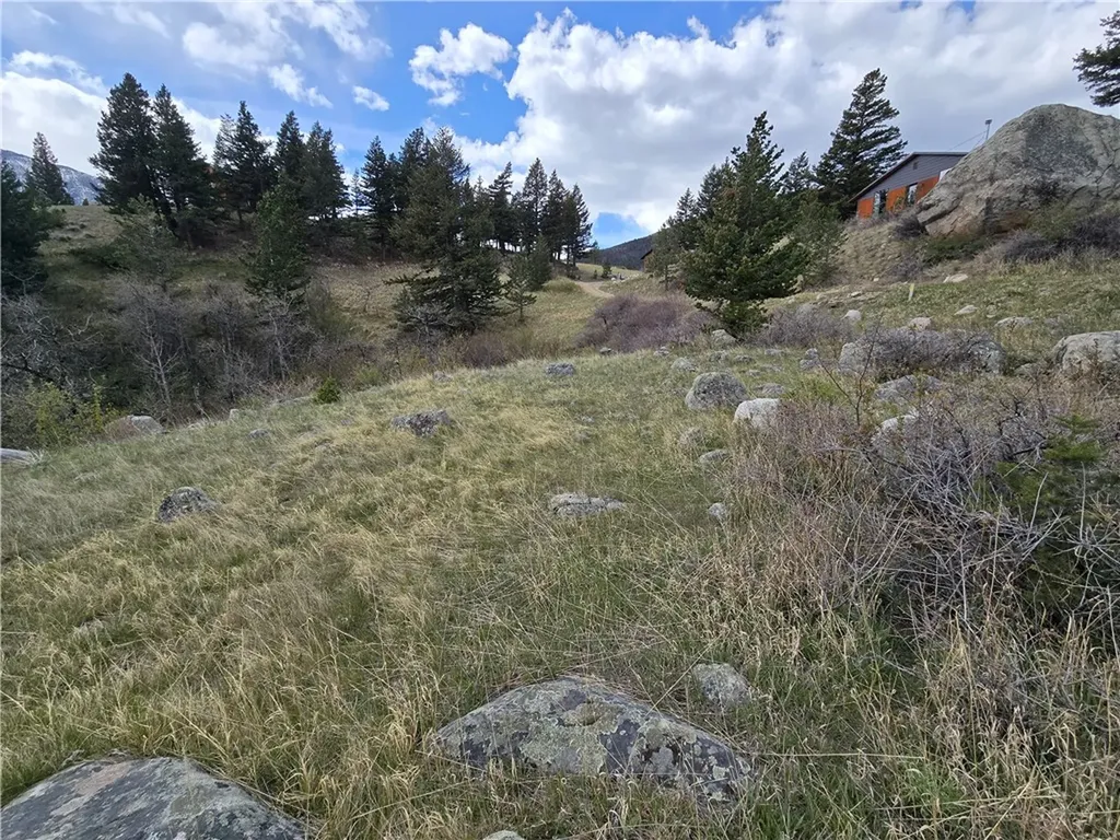 Lot 125 Rocky Trail Nye MT 59061