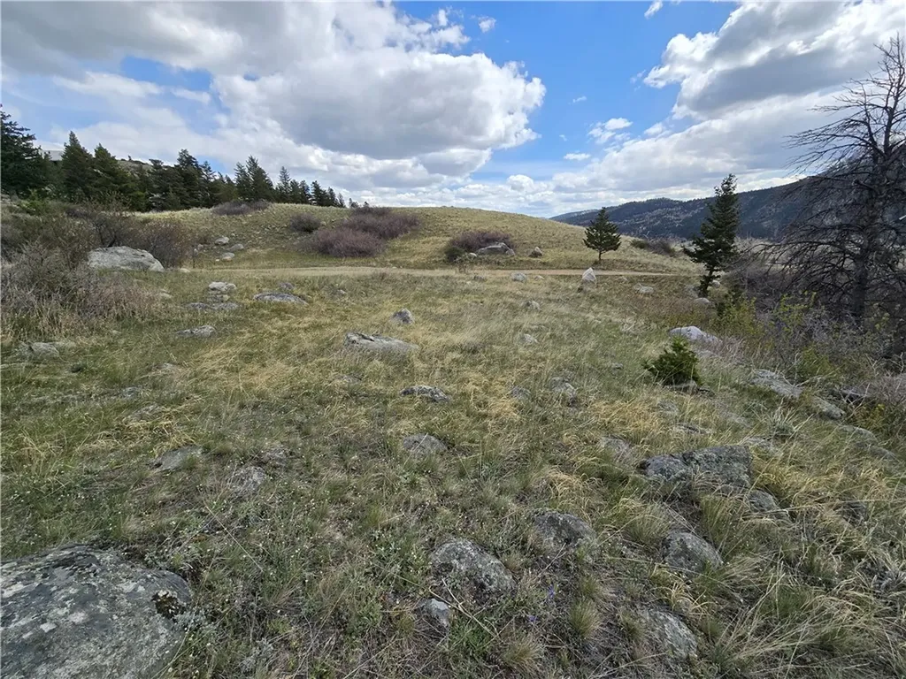 Lot 125 Rocky Trail Nye MT 59061