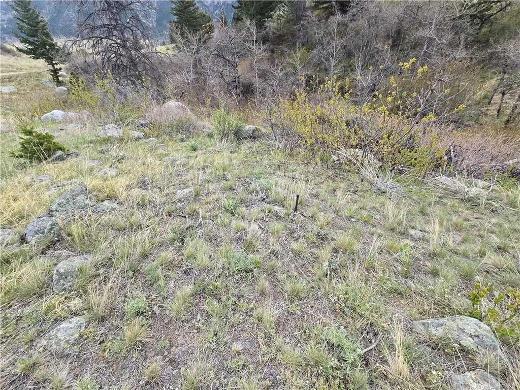 Lot 125 Rocky Trail Nye MT 59061