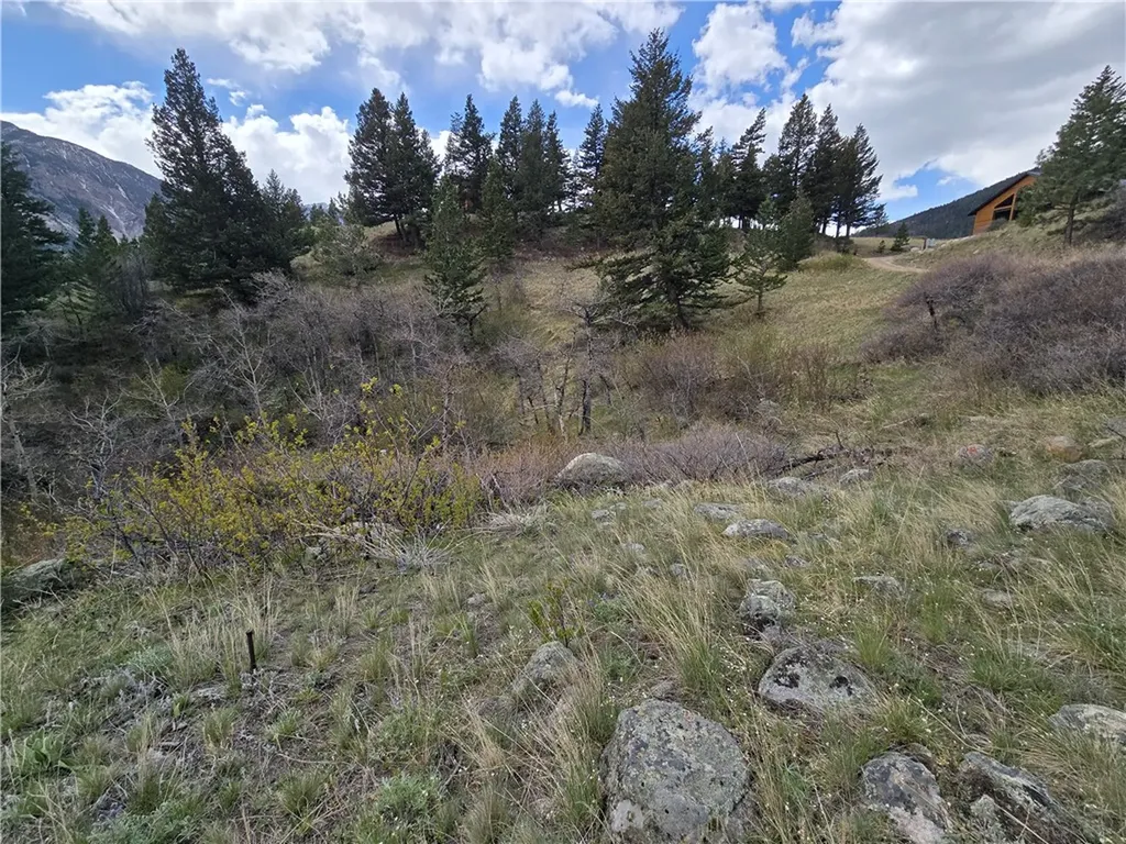 Lot 125 Rocky Trail Nye MT 59061
