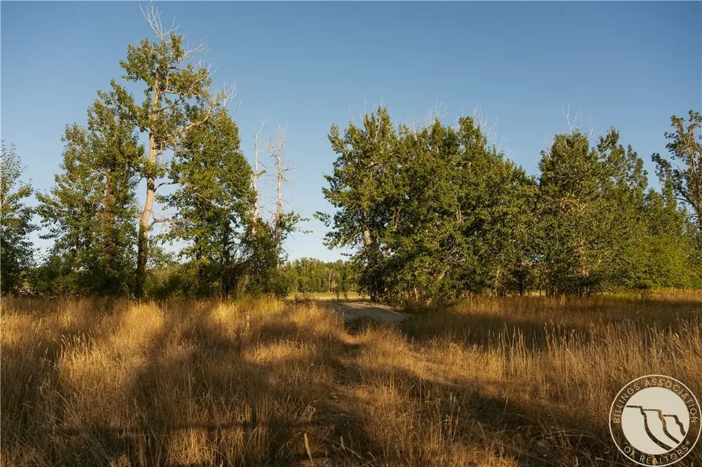 308 Two Mile Bridge Road Roberts MT 59070