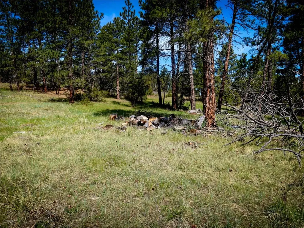 123 Smith Road Roundup MT 59072
