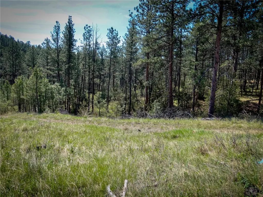 123 Smith Road Roundup MT 59072