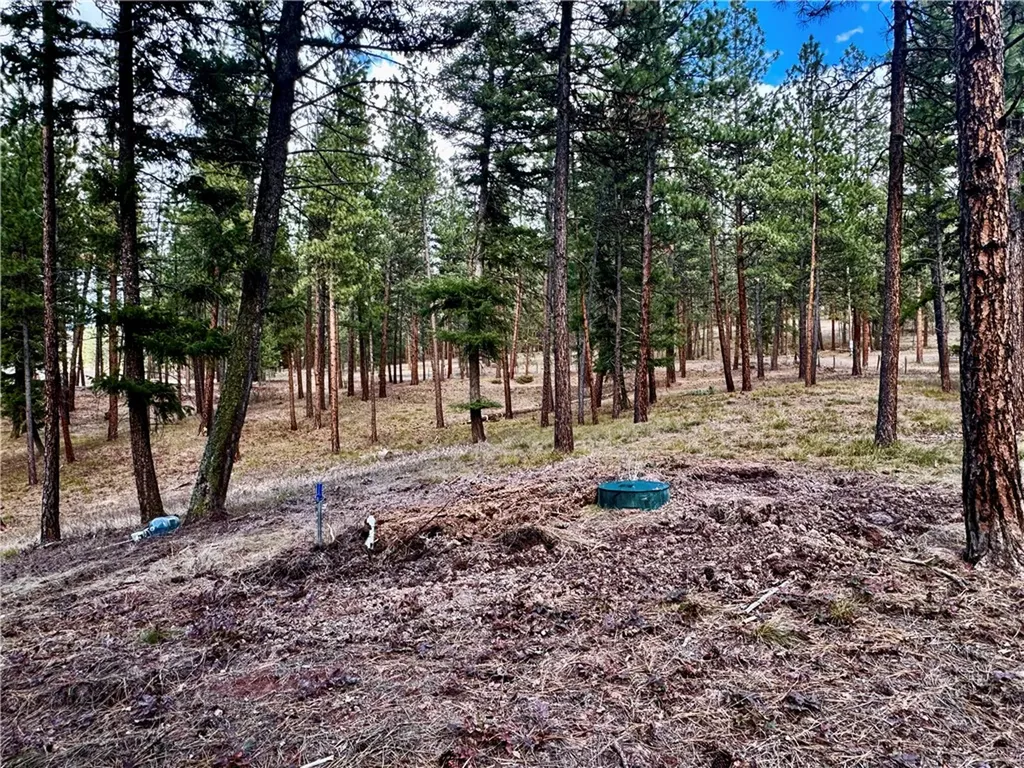 Tbd Nine Mile Road Other MT 59846