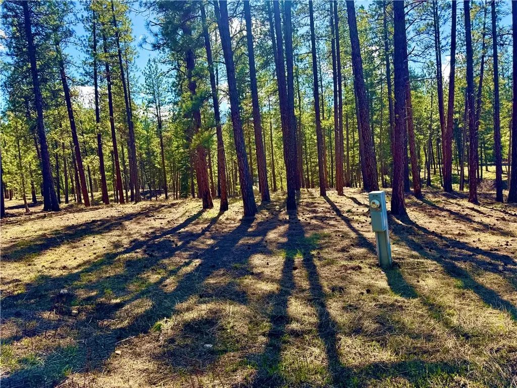 Tbd Nine Mile Road Other MT 59846