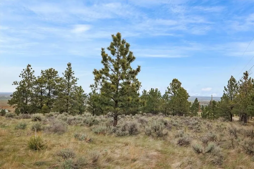 6853 Shooters Bluff Trail Billings MT 59037