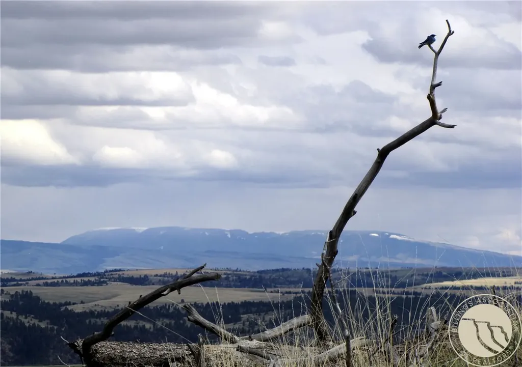 Nhn Wild Turkey Ridge Road Columbus MT 59019
