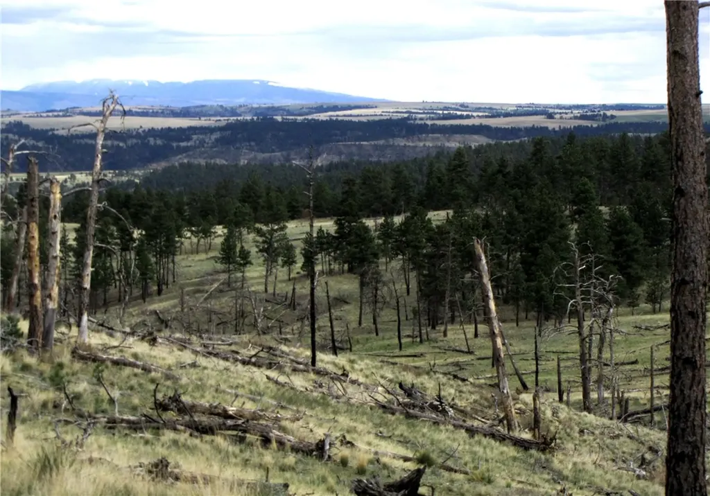 Nhn Wild Turkey Ridge Road Columbus MT 59019