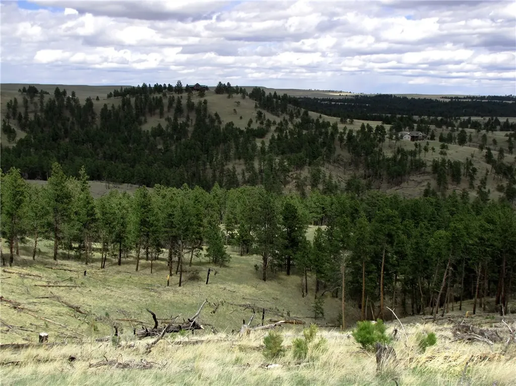 Nhn Wild Turkey Ridge Road Columbus MT 59019