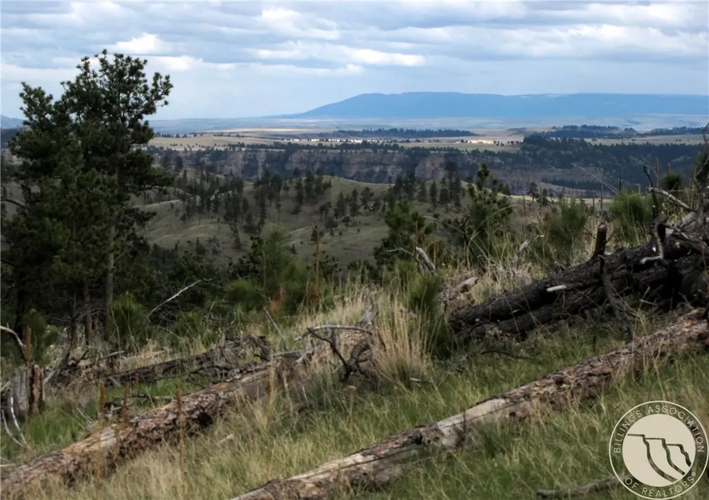 Nhn Wild Turkey Ridge Road Columbus MT 59019