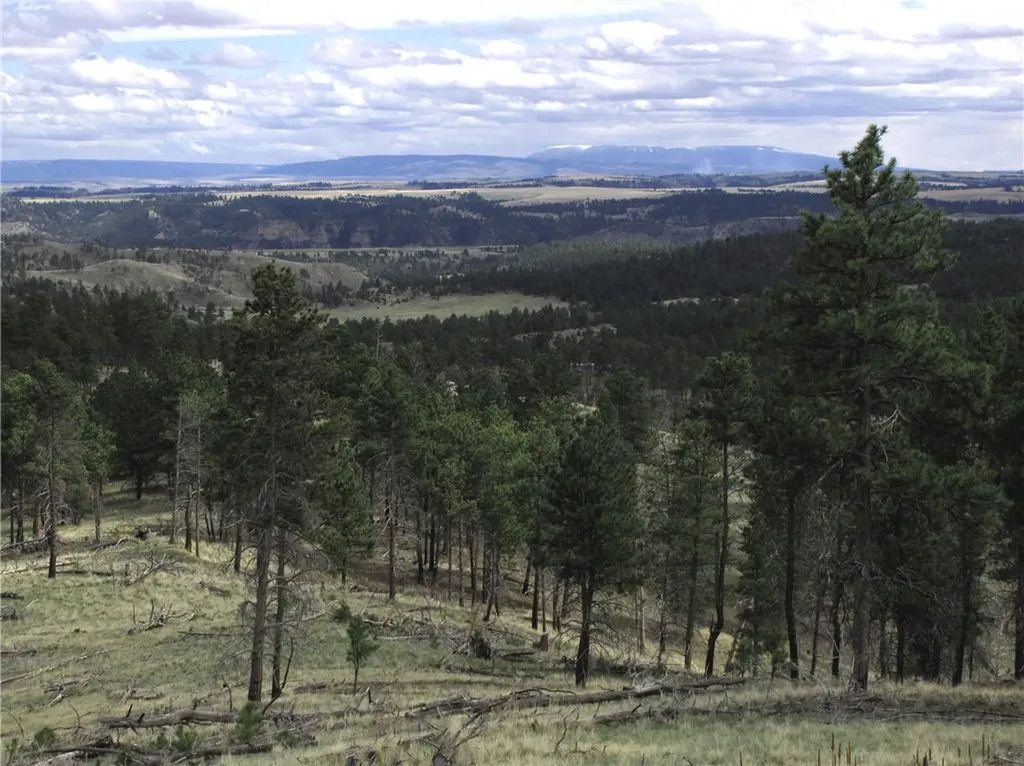 Nhn Wild Turkey Ridge Road Columbus MT 59019