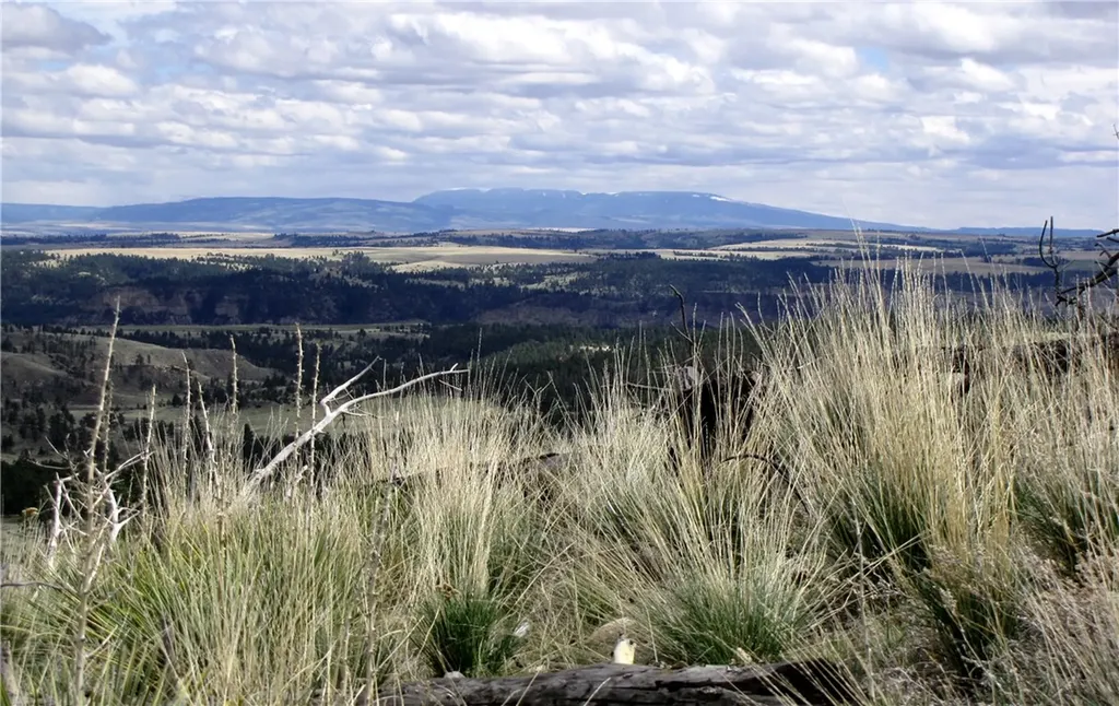 Nhn Wild Turkey Ridge Road Columbus MT 59019