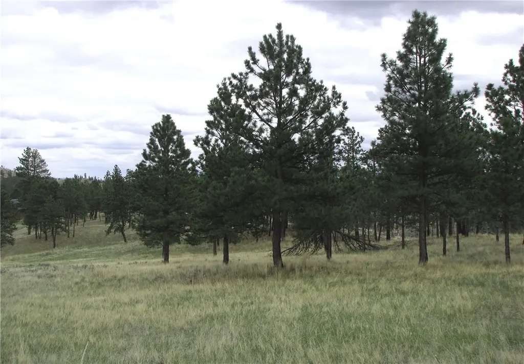 Nhn Wild Turkey Ridge Road Columbus MT 59019