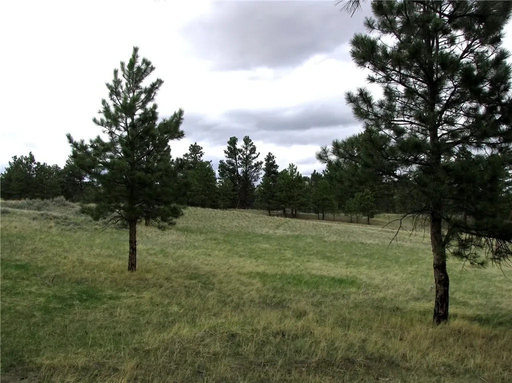 Nhn Wild Turkey Ridge Road Columbus MT 59019